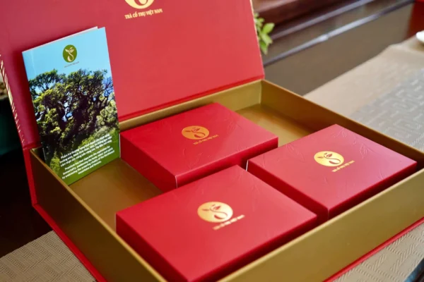 Bộ Trà Tâm Mộc