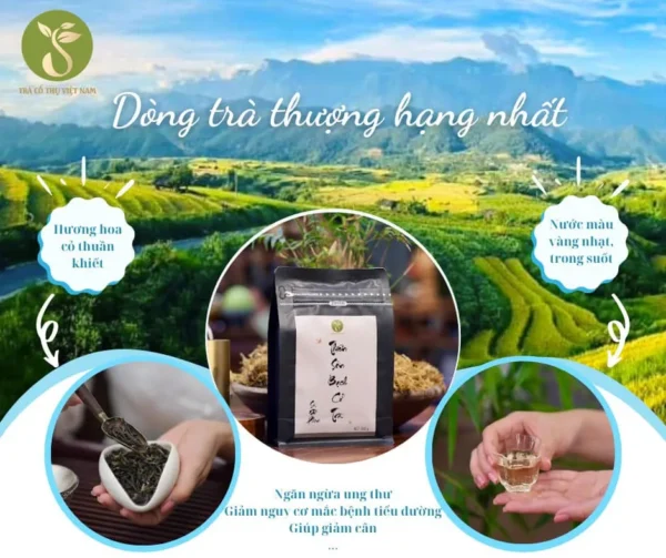 Thiên Sơn Bạch Cổ Trà 80g