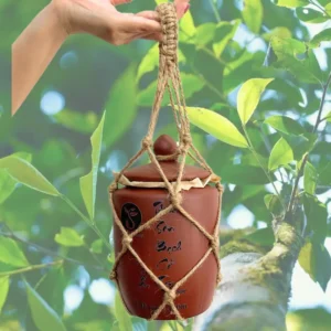 Thiên Sơn Bạch Cổ Trà 80g