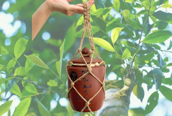 Thiên Sơn Bạch Cổ Trà 80g