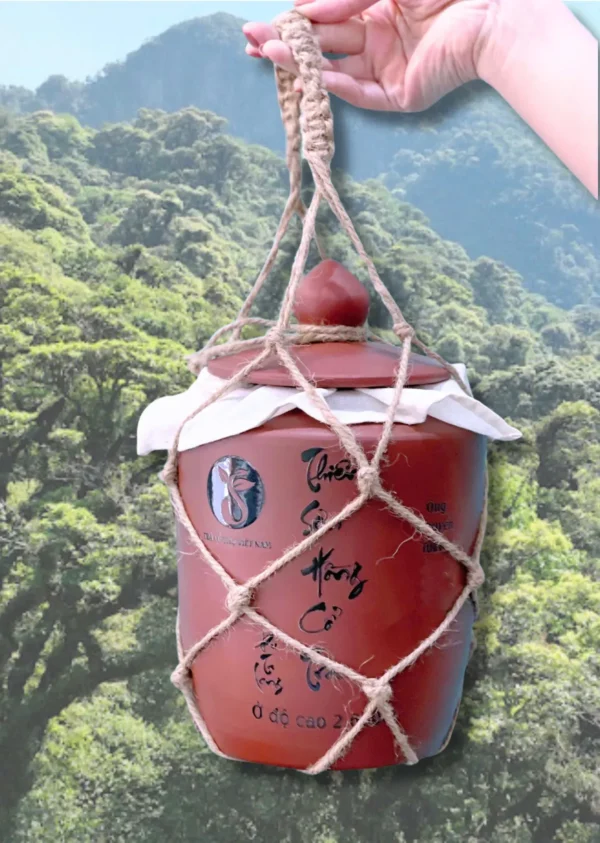 Thiên Sơn Hồng Cổ Trà 380g